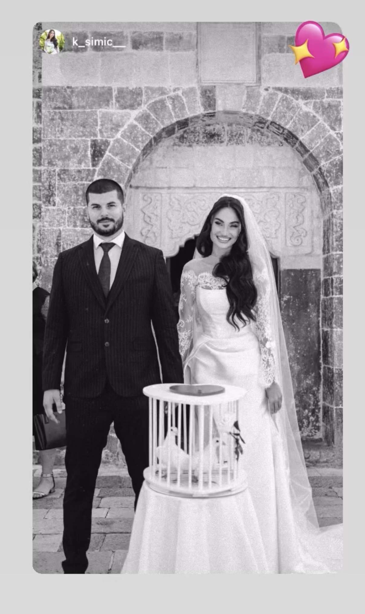 iznajmljivanje golubova niksic